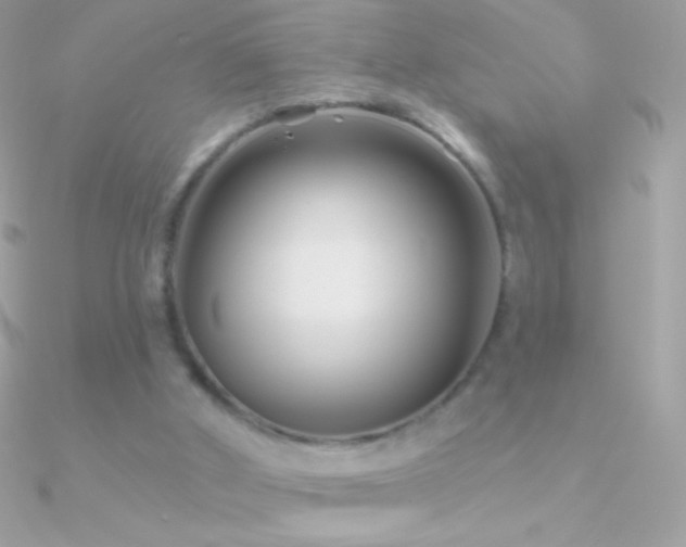 X0000090950010200708021346