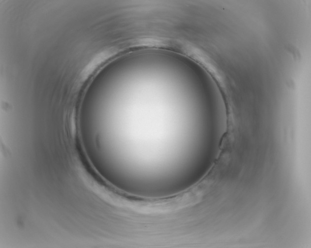X0000090950011200708021346