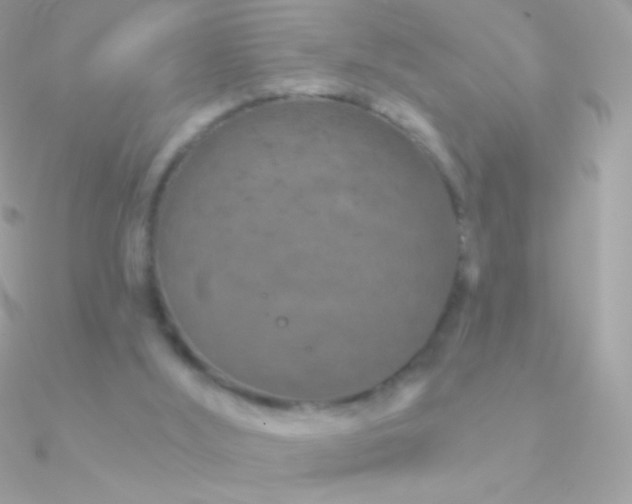 X0000090950012200708021346