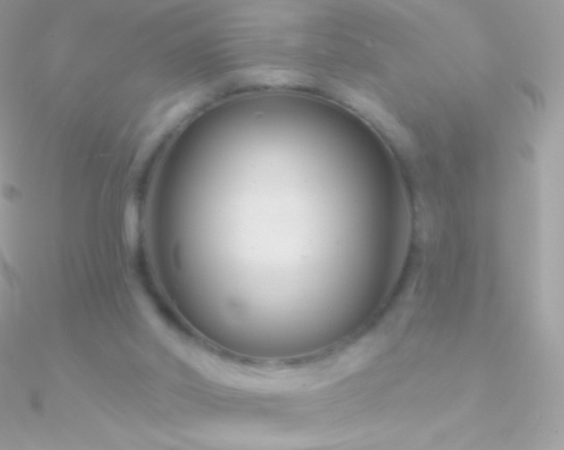 X0000090950014200708021345