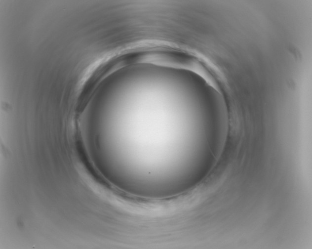 X0000090950015200708021345