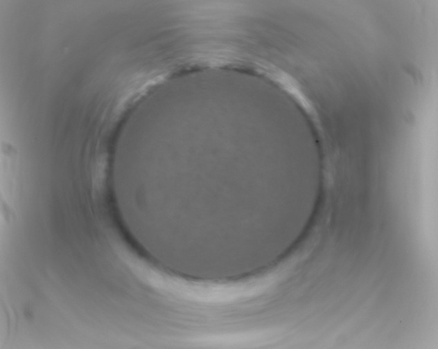 X0000090950018200708021345