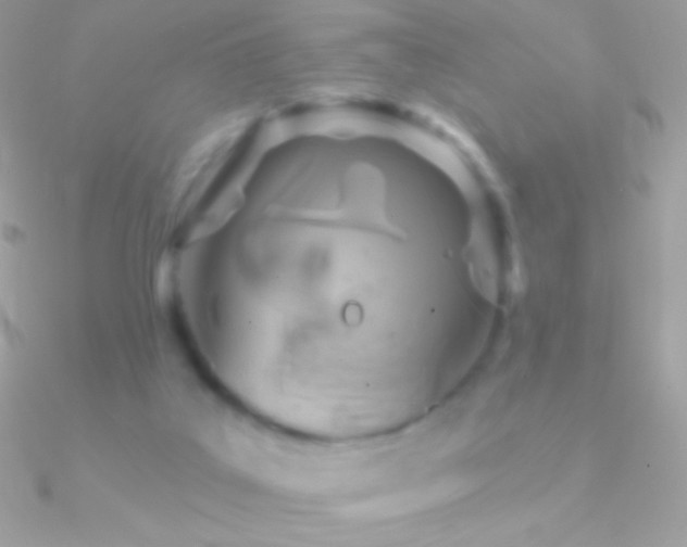 X0000090950019200708021345