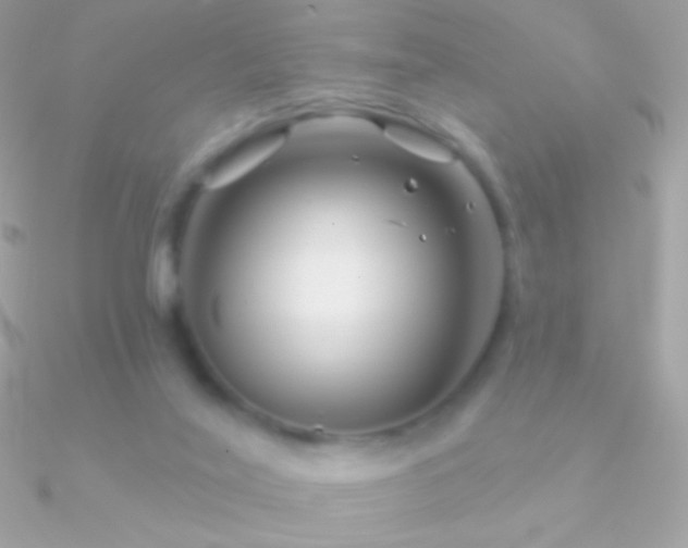 X0000090950020200708021345