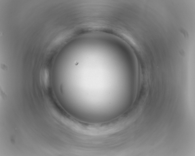 X0000090950022200708021345