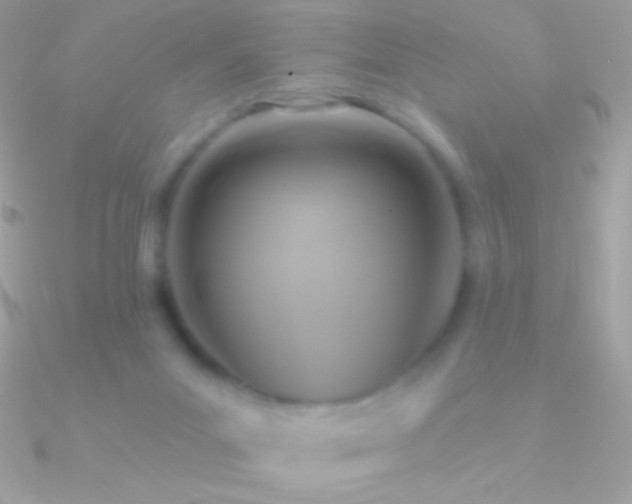 X0000090950023200708021345