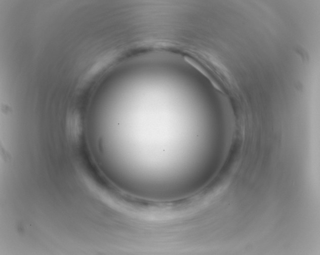X0000090950024200708021345