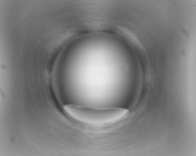 X0000090950025200708021345