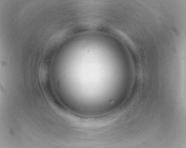 X0000090950026200708021345