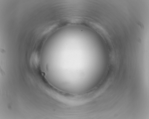 X0000090950028200708021345
