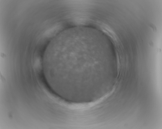 X0000090950029200708021345