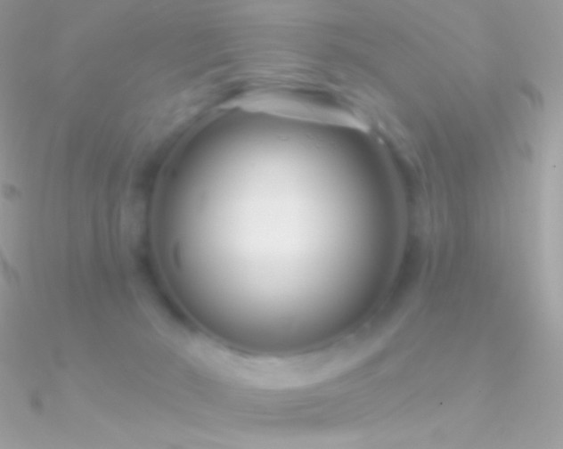 X0000090950030200708021345