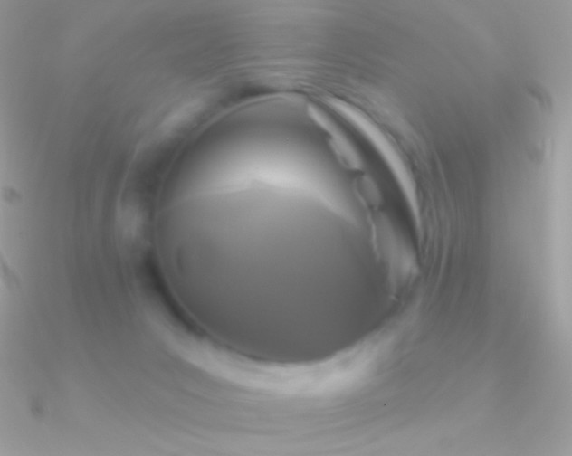 X0000090950031200708021345
