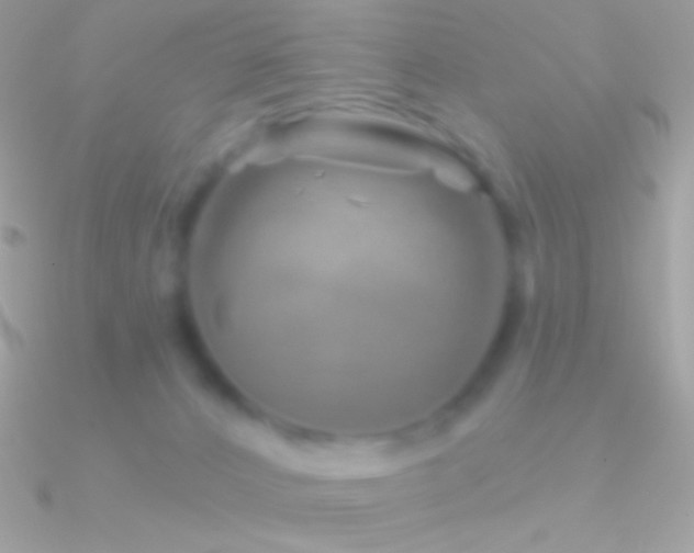 X0000090950032200708021345