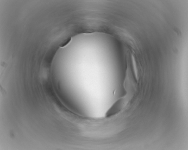 X0000090950033200708021345