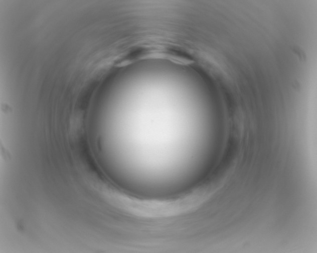 X0000090950034200708021345