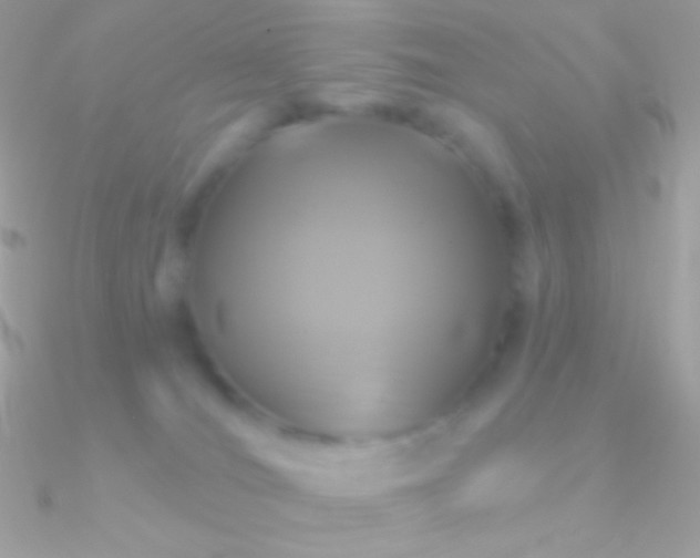 X0000090950036200708021345