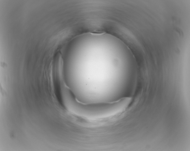 X0000090950037200708021345