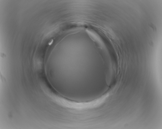 X0000090950039200708021345