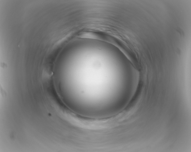 X0000090950040200708021345