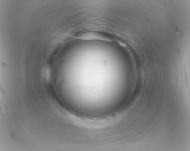 X0000090950042200708021345