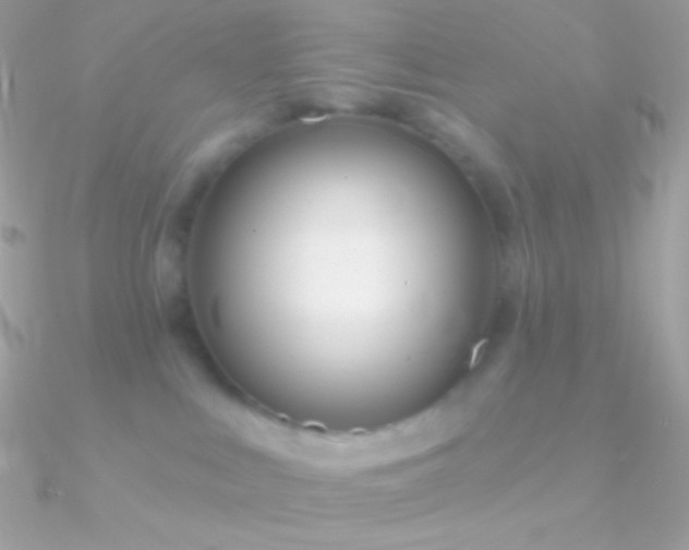 X0000090950043200708021345