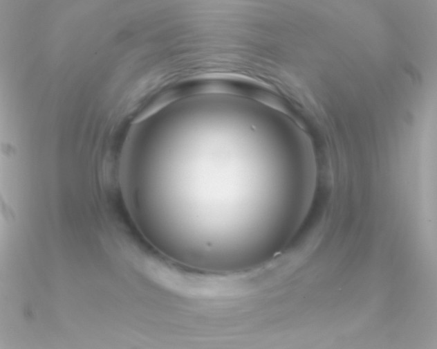 X0000090950044200708021345