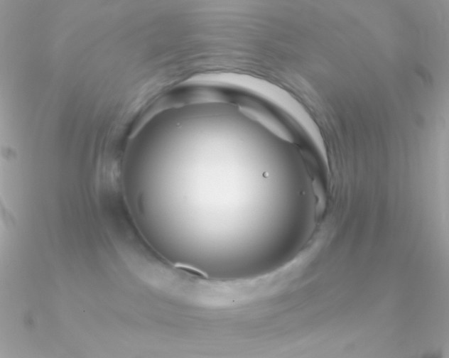 X0000090950045200708021345