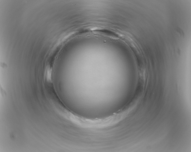 X0000090950046200708021345