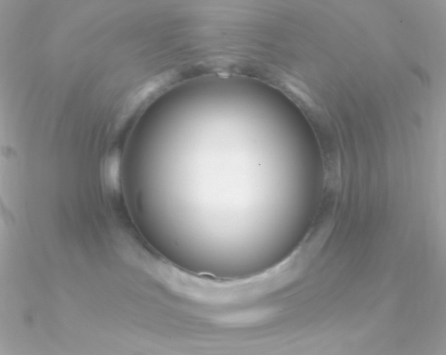 X0000090950047200708021345