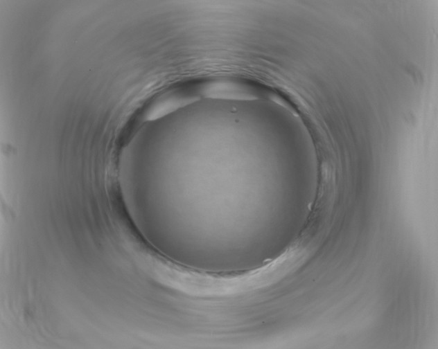 X0000090950048200708021345
