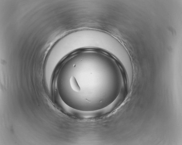 X0000090950050200708021344