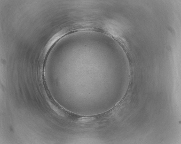 X0000090950051200708021344