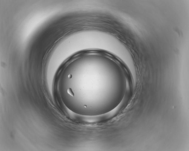 X0000090950052200708021344