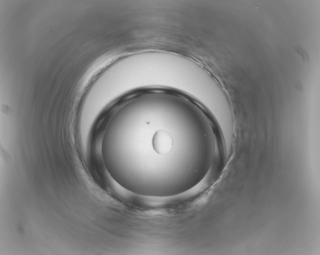 X0000090950054200708021344