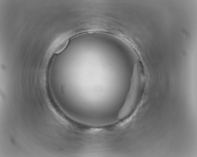 X0000090950055200708021344