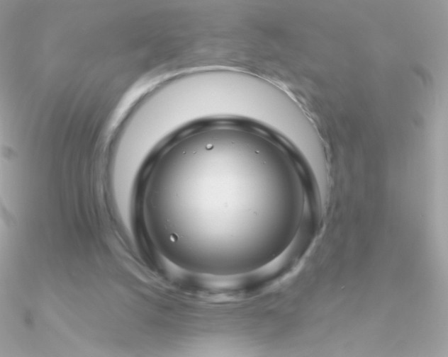 X0000090950056200708021344