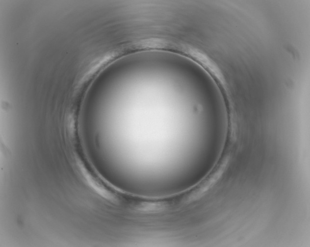 X0000090950057200708021344