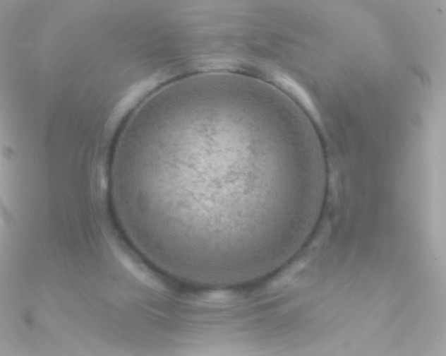 X0000090950059200708021344