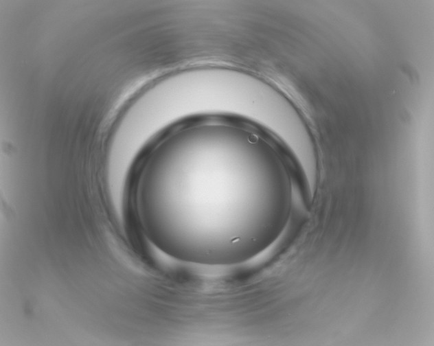 X0000090950060200708021344