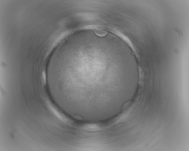 X0000090950061200708021344
