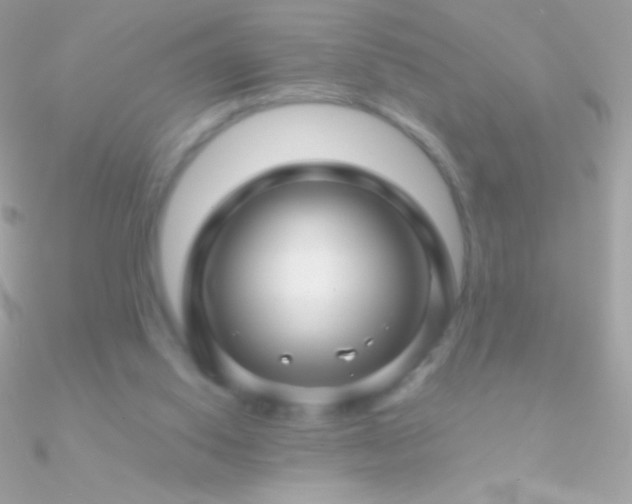 X0000090950062200708021345