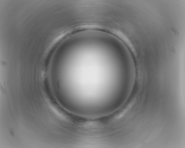 X0000090950063200708021345