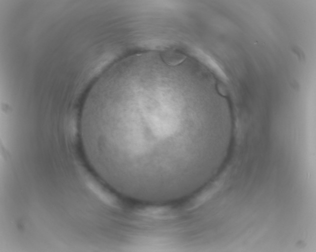 X0000090950065200708021345