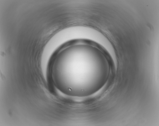X0000090950066200708021345