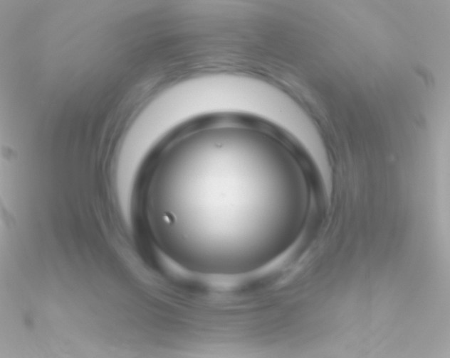 X0000090950070200708021345