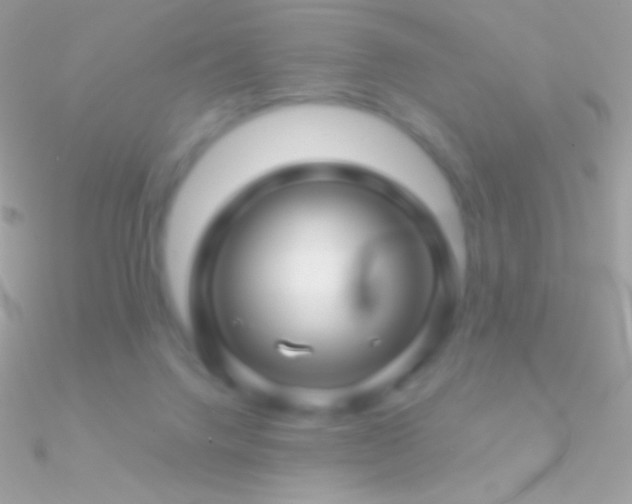 X0000090950072200708021345