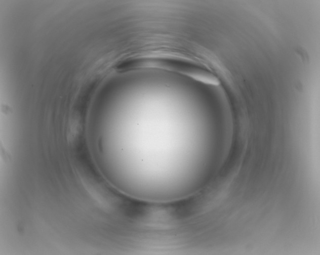 X0000090950073200708021345