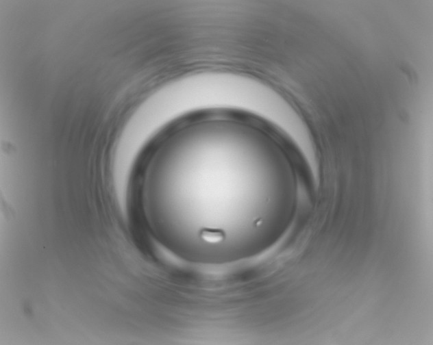 X0000090950074200708021345