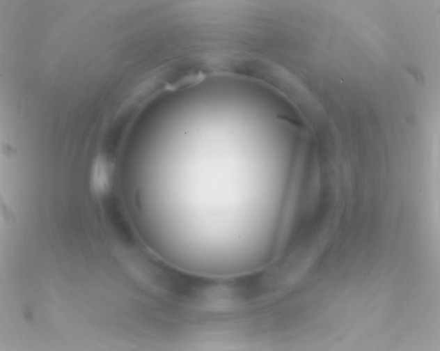 X0000090950075200708021345